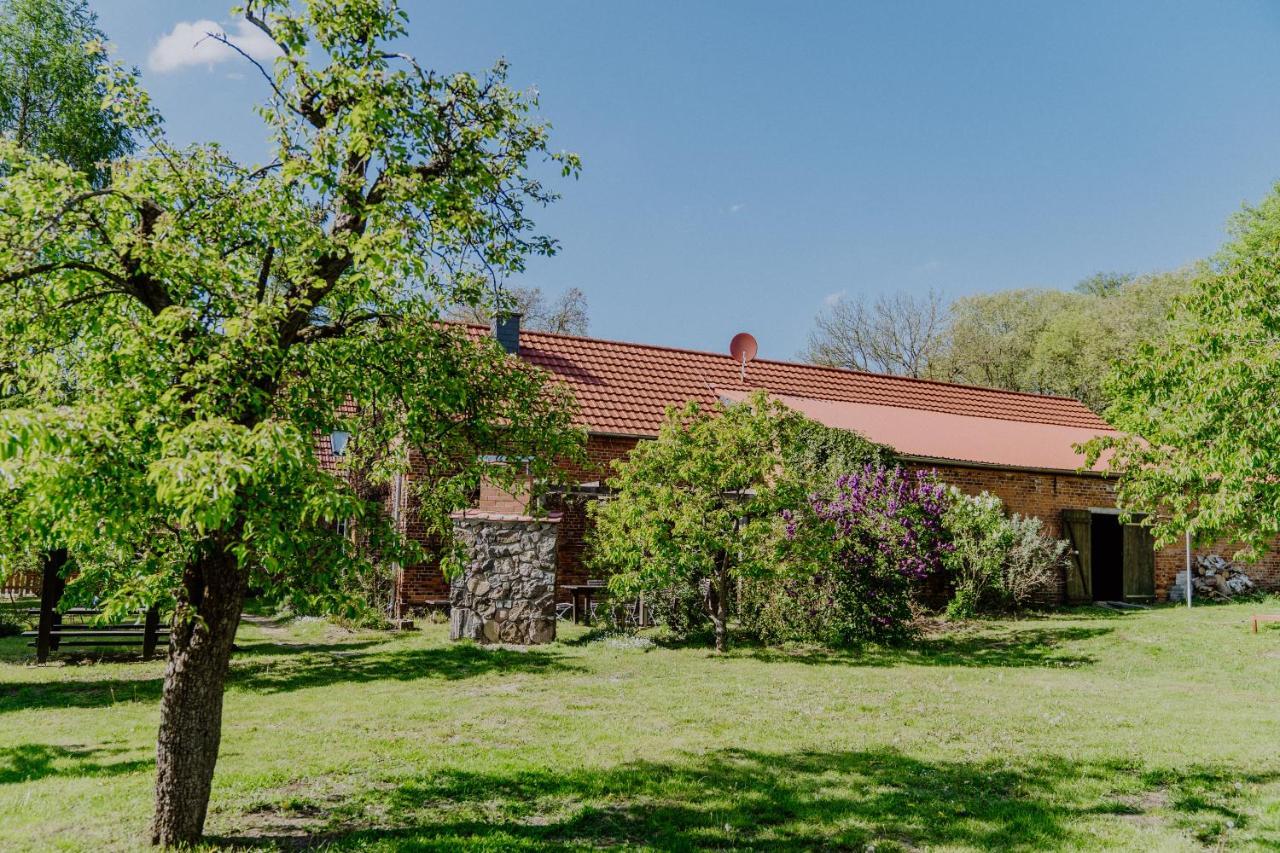 Landhaus Goldene Gans Gross Pankow  エクステリア 写真